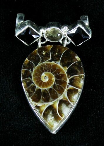 Ammonite Fossil Pendant - Sterling Silver #21051